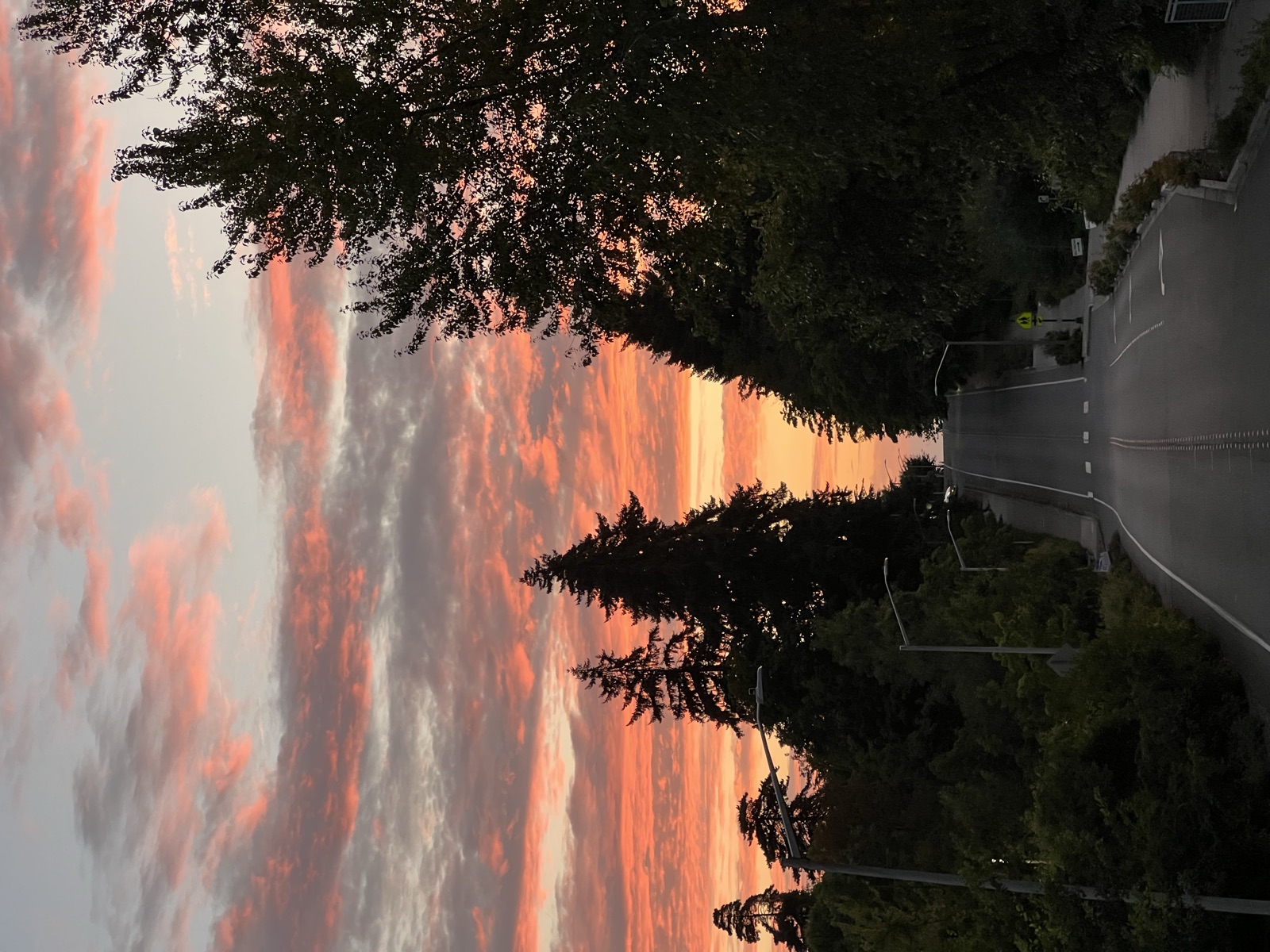 Bellevue Botanical Gardens