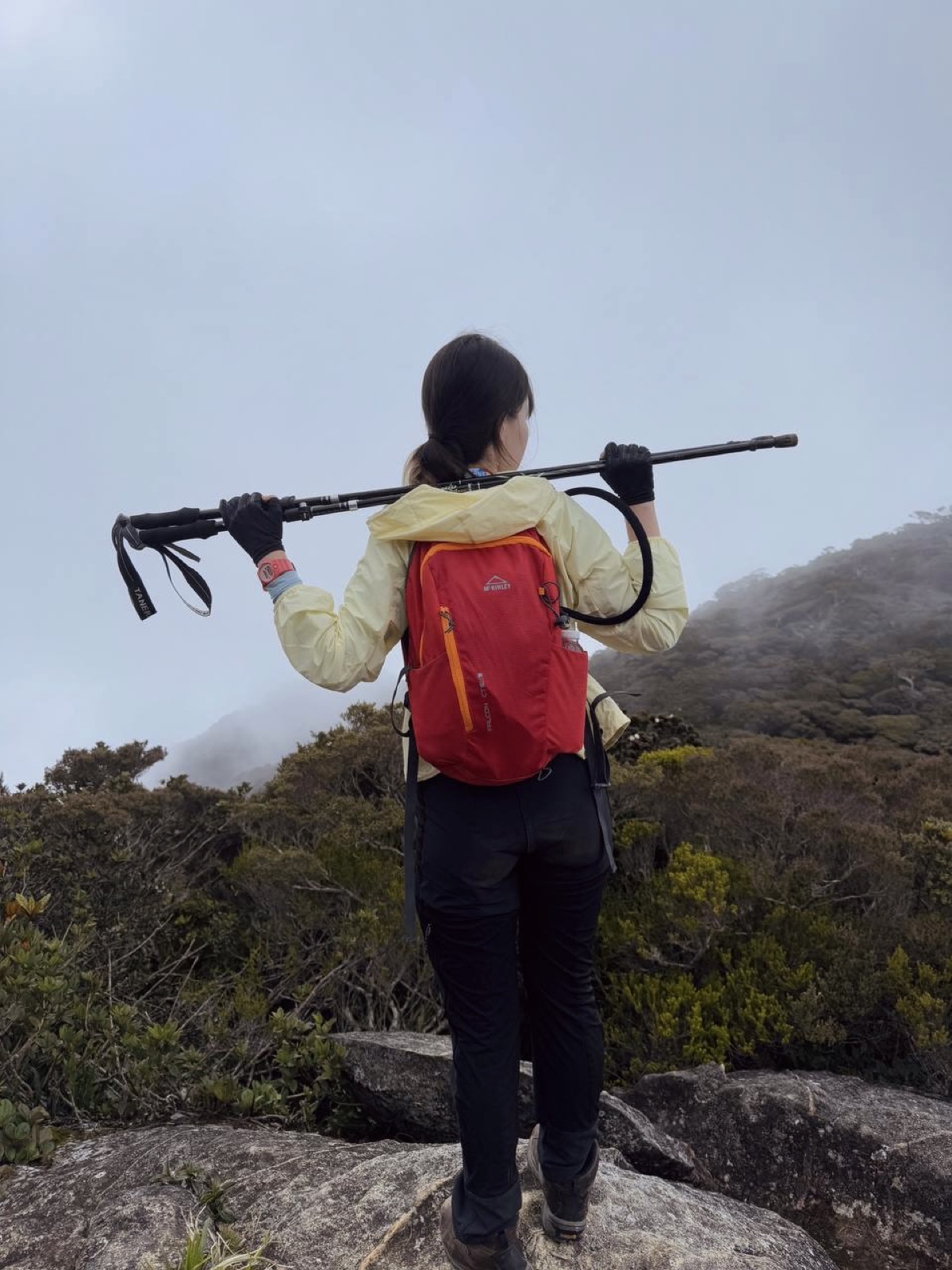 Above the clouds on Kinabalu