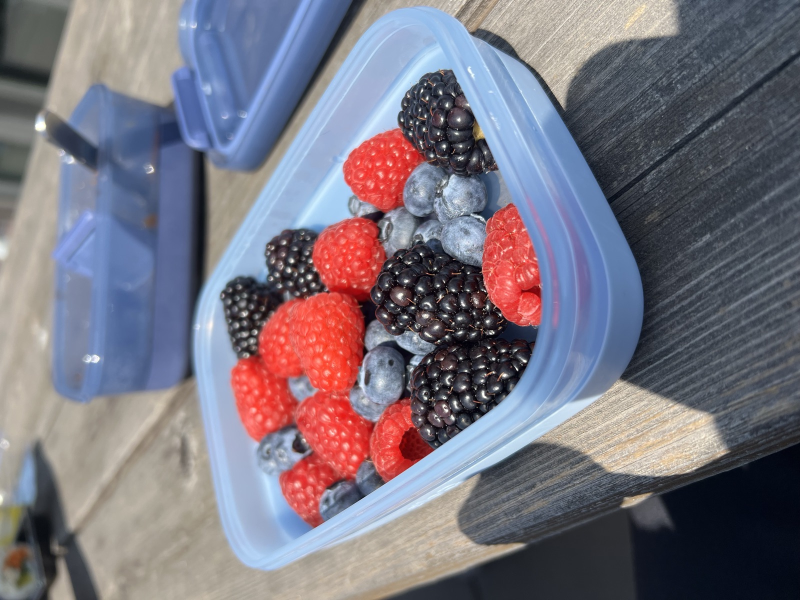 Summer berries